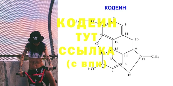 шишки Алзамай