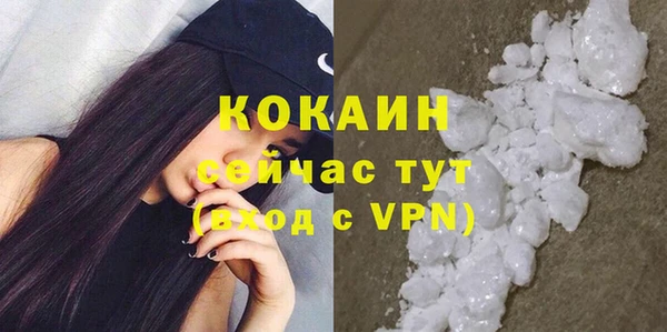кокс Алексин