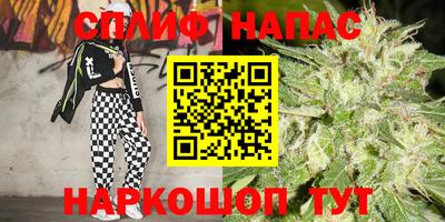 эйфоретик Аргун