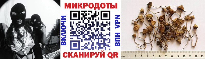хочу наркоту  Апшеронск  Псилоцибиновые грибы Cubensis 